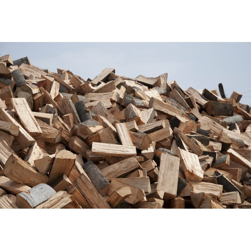 Bûches de bois de chauffage vertes (stères) - non séchées